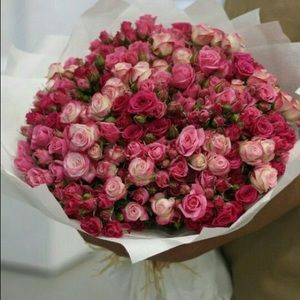 Meet your Posher, Fernanda